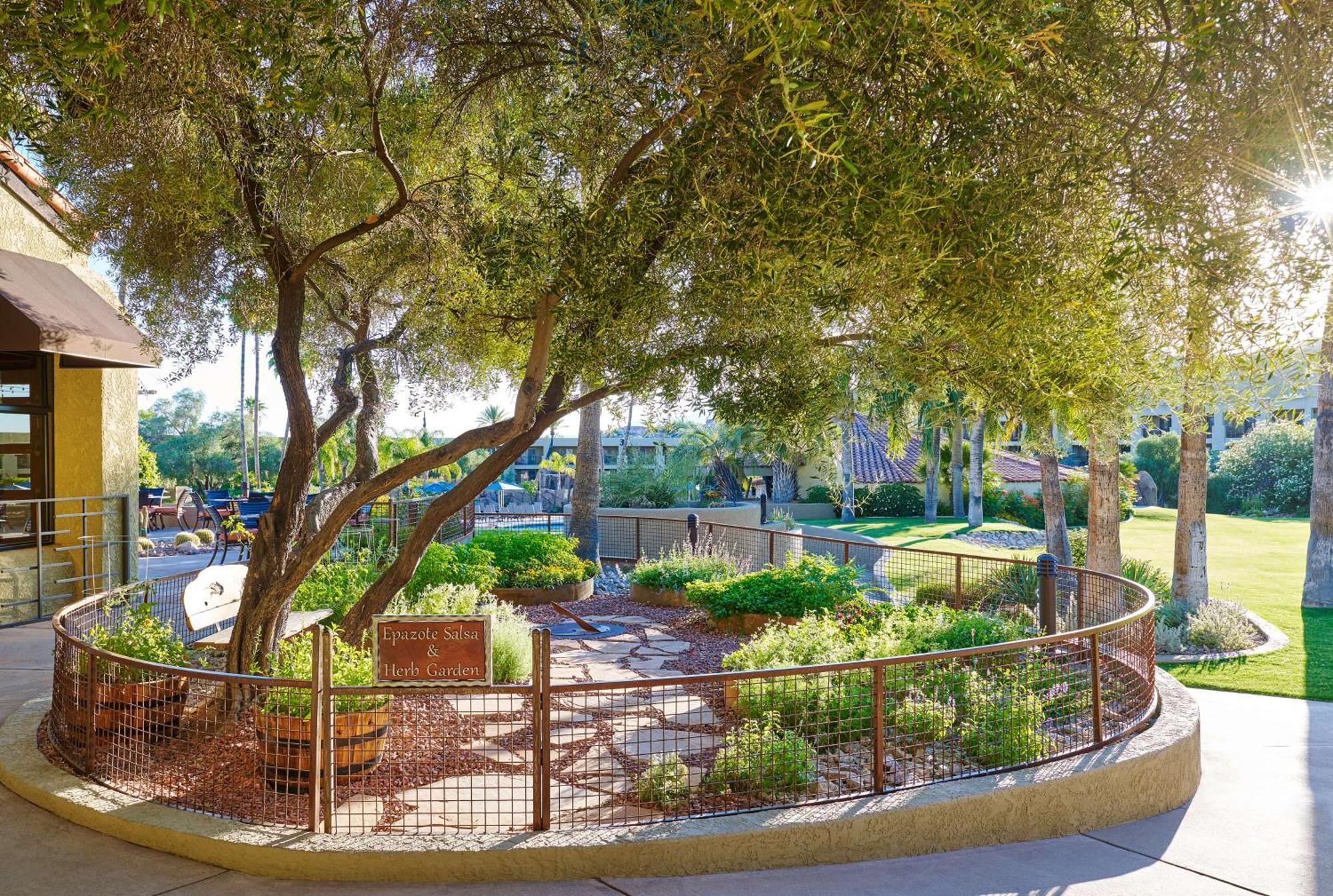 El Conquistador Tucson, A Hilton Resort Oro Valley Dış mekan fotoğraf